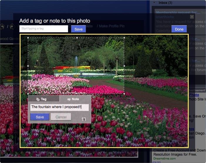 screenshot showing image tagging in action